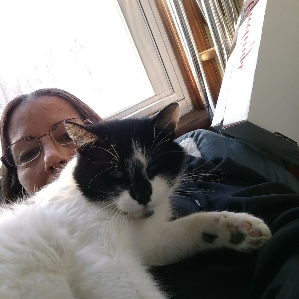 Meet your Posher, Kate